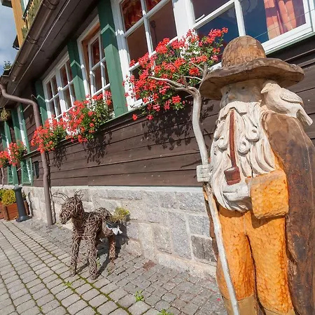 Pod Jasany Готель