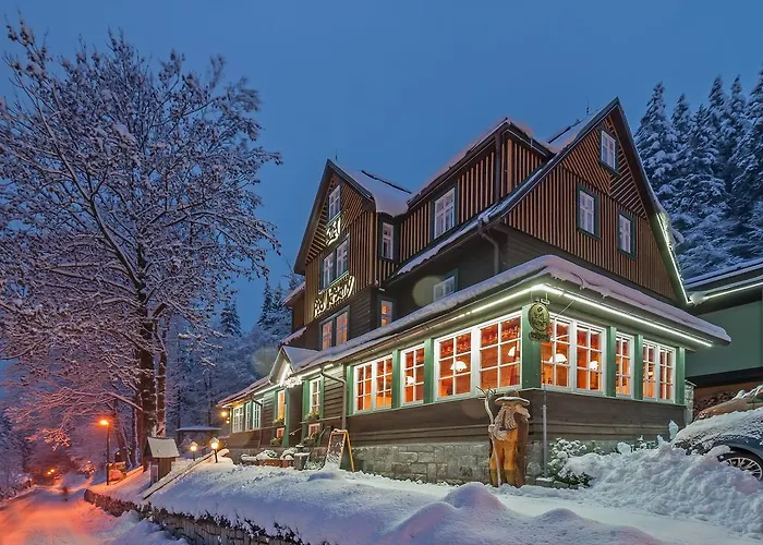 Отель Pod Jasany 3*